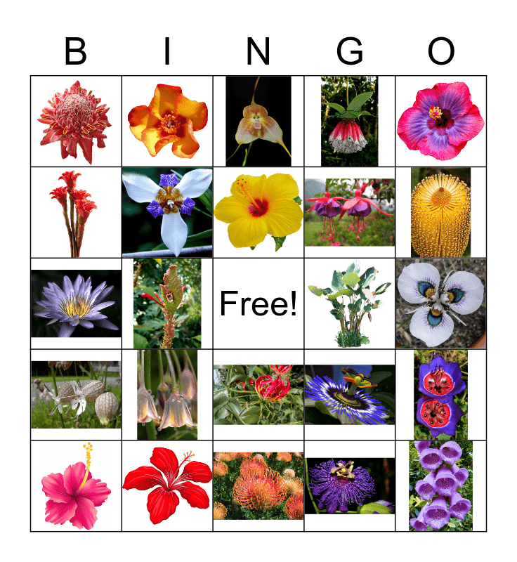 Garden Bingo Card