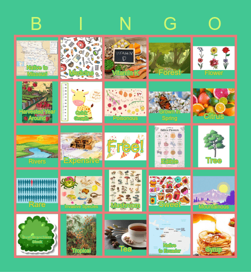 Garden Club Plant Bingo Card