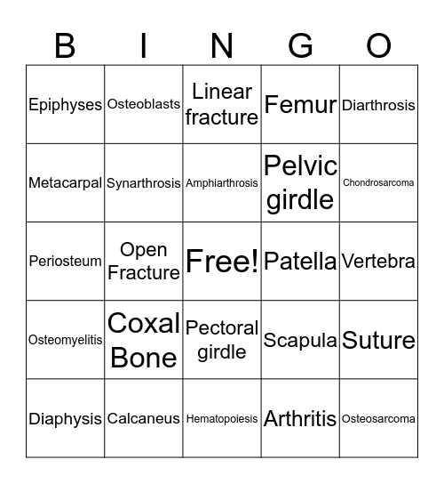 Skeletal System Bingo Card