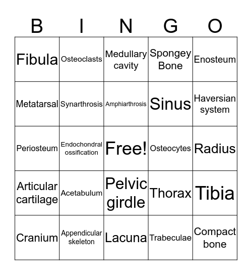 Skeletal System Bingo Card