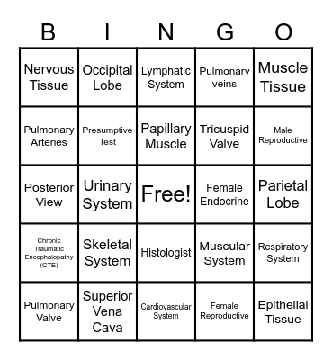 Anatomy of An Autopsy Bingo Card