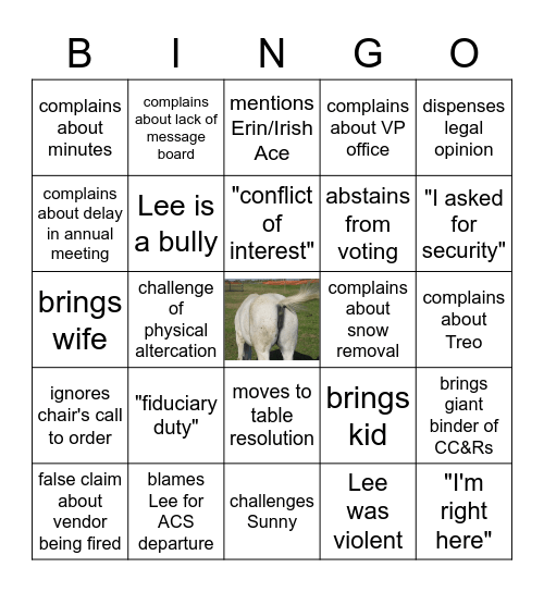 Steve Bass Bingo Card