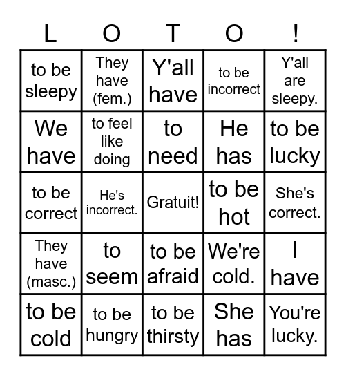 Avoir + Avoir Expressions Bingo Card