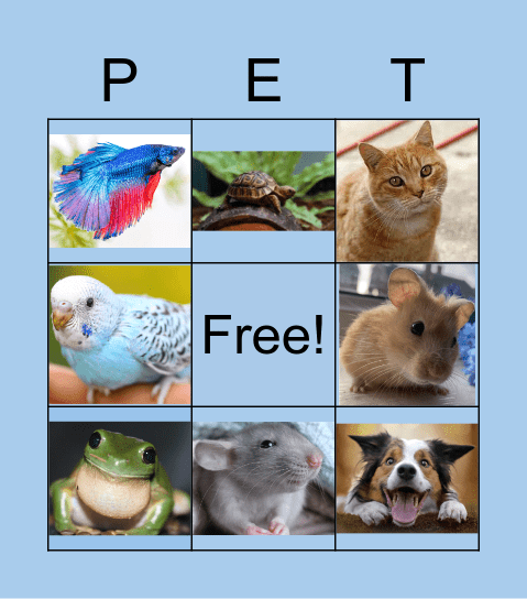 Pets Bingo Card