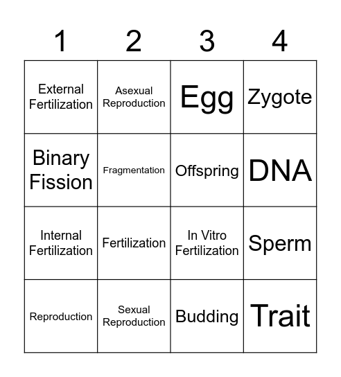 REPRODUCTION Bingo Card