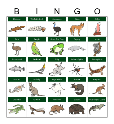 Australian Animals Bingo Card