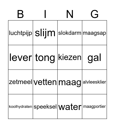 Verteringsstelsel Bingo Card