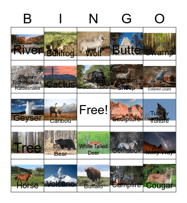 National Parks Adventure Bingo Card