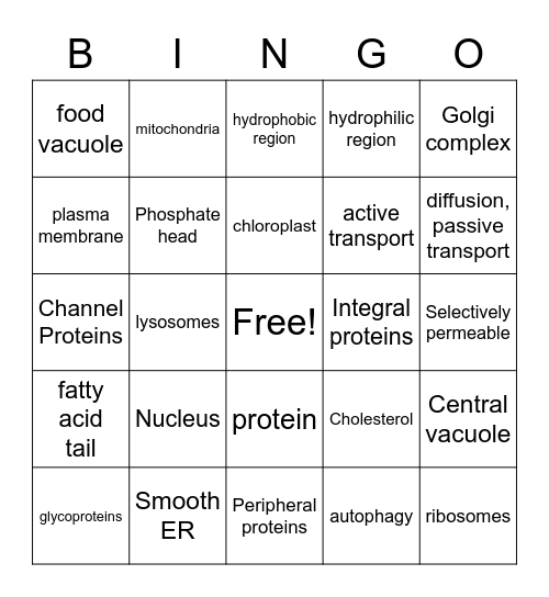 Unit 2 cell structure and function Bingo Card