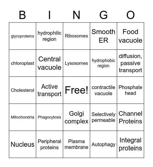 Unit 2 Cell Structure & Function Bingo Card
