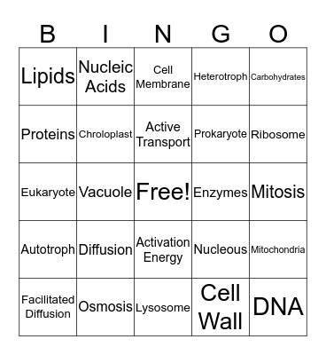 Biology Review Bingo Card