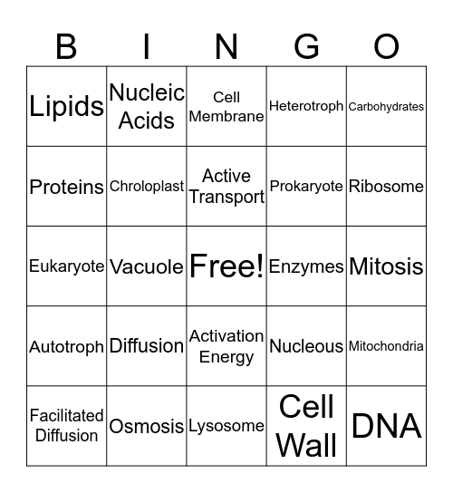 Biology Review Bingo Card