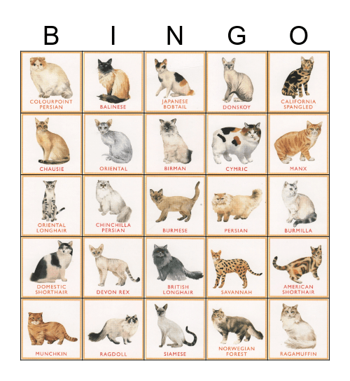 Cat Breed Bingo Card