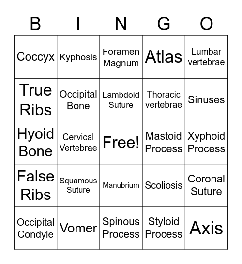 Axial Skeleton & Bone Markings Bingo Card