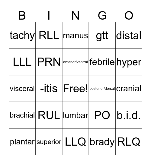 Nursing Terms Bingo Card