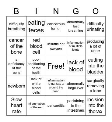veterinary terminology Bingo Card