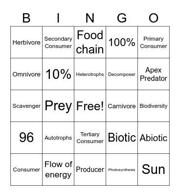 Food Chains/Energy Pyramids Bingo Card