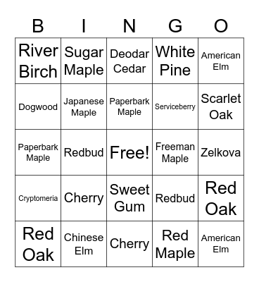 AFC BINGO!!! Bingo Card