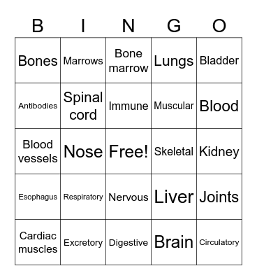 Body Systems & Structures Bingo Card