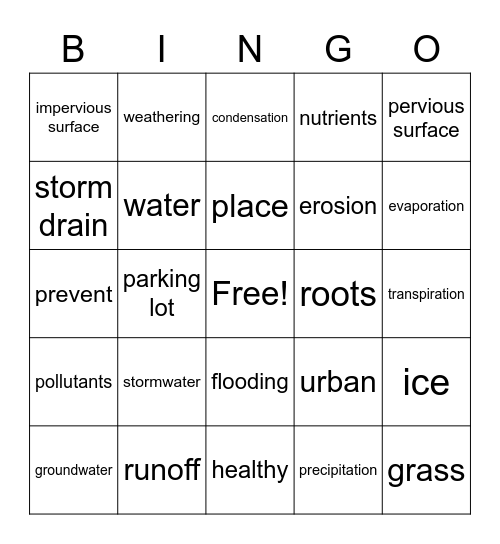 Community Waters Review Bingo Card