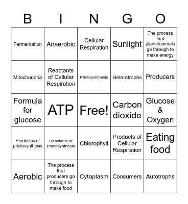 Photosynthesis & Cellular Respiration Bingo Card