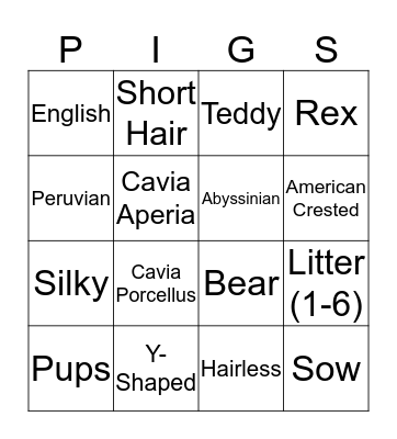 PIGS Bingo Card