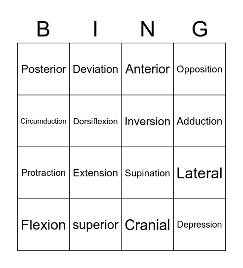 Anatomy Bingo Card