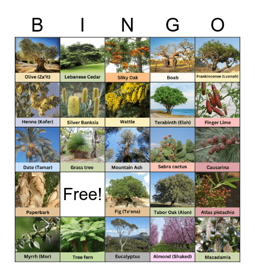 Tu B'Shvat Bingo Card