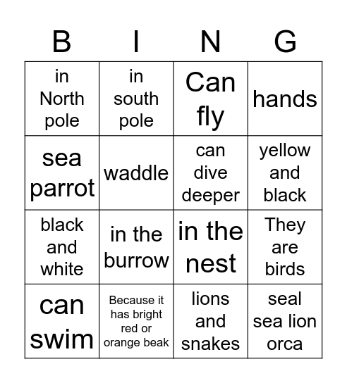 puffins and penguins Bingo Card