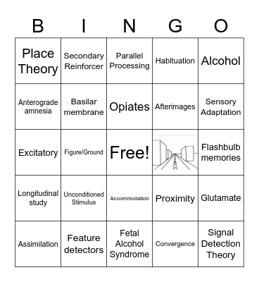 Psych Exam Review S1 2023 Bingo Card