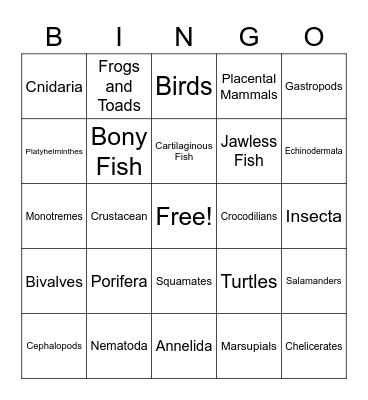 Animal Phylum Bingo Card