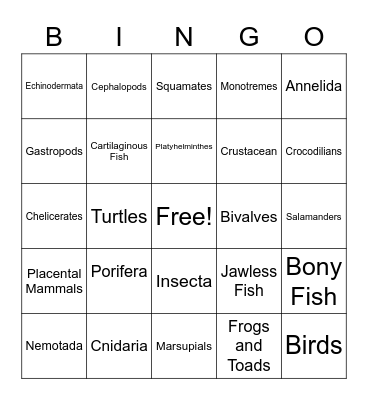 ANIMAL PHYLUM Bingo Card