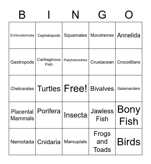 ANIMAL PHYLUM Bingo Card