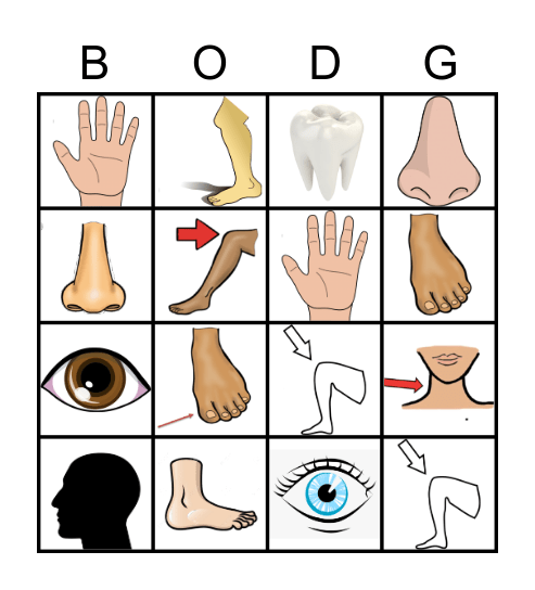 BODY PARTS Bingo Card