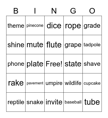 Silent E Bingo Card