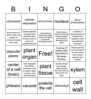 Plant vocabulary Bingo Card