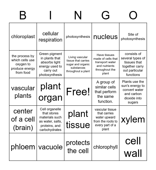 Plant vocabulary Bingo Card