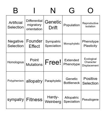 Evolution Bingo Card