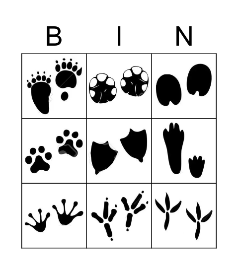 Footprint Bingo Card