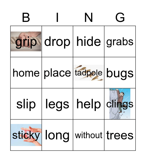 Sticky Frogs Bingo Card