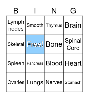Body system bingo Card