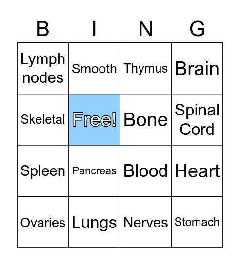 Body system bingo Card