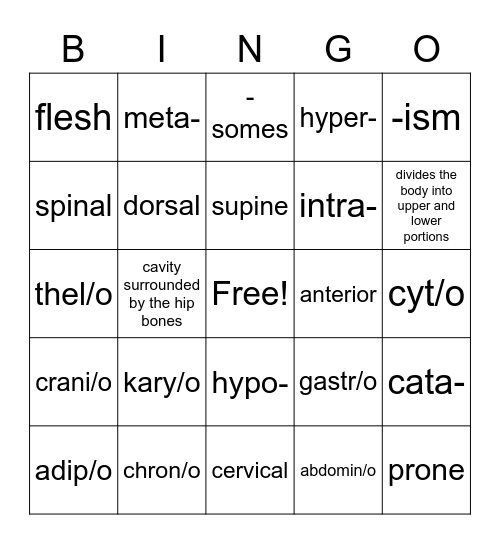 Terms pertaining to the body as a whole Bingo Card