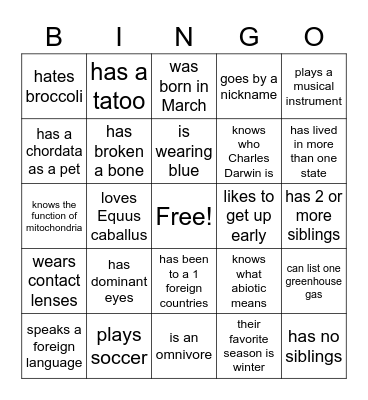 People Bingo Card