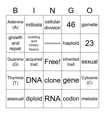 Genetics Part 1 Bingo Card