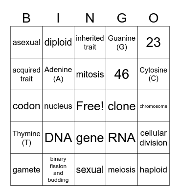 Genetics Part 1 Bingo Card