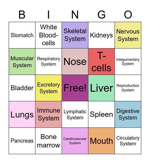 Body System BINGO Card