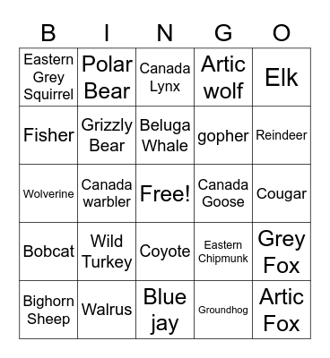 Canadian wildlife Bingo Card