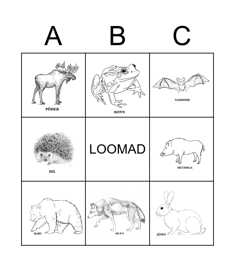 ARVA ÄRA! Bingo Card