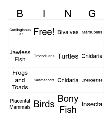Animal Phylum Bingo Card
